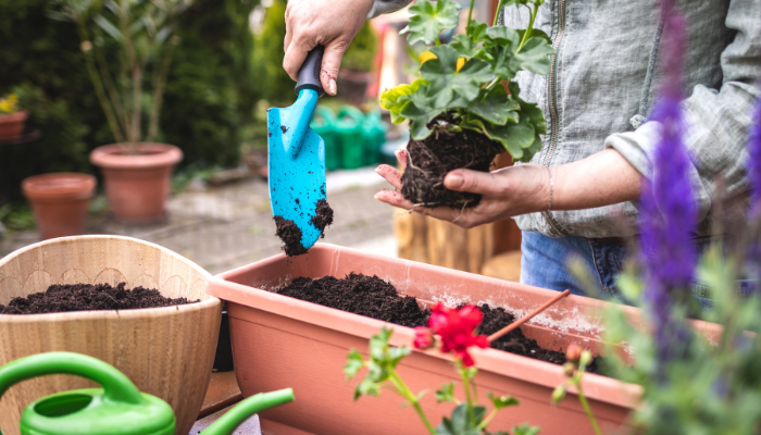 Choosing the right pots for your flowers is important