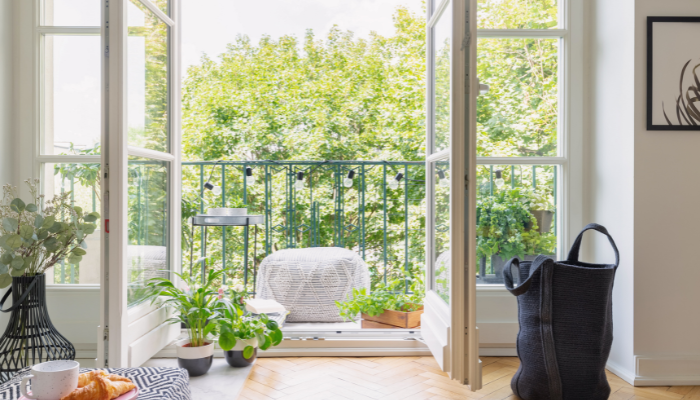 Potted Plants in a relaxing balcony