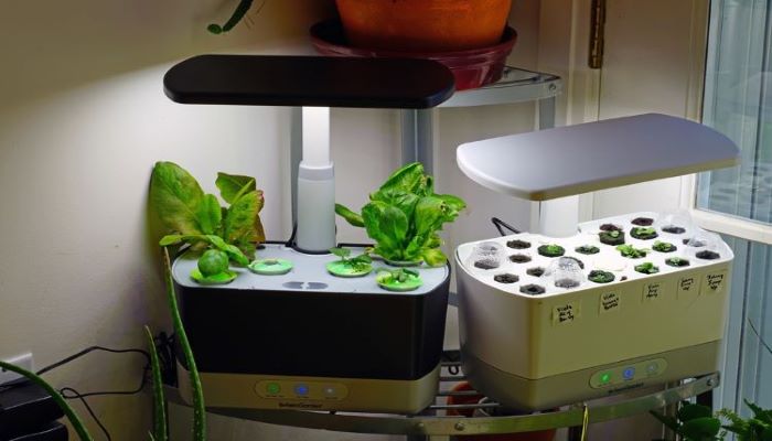 Hydroponic Gardening Lighting