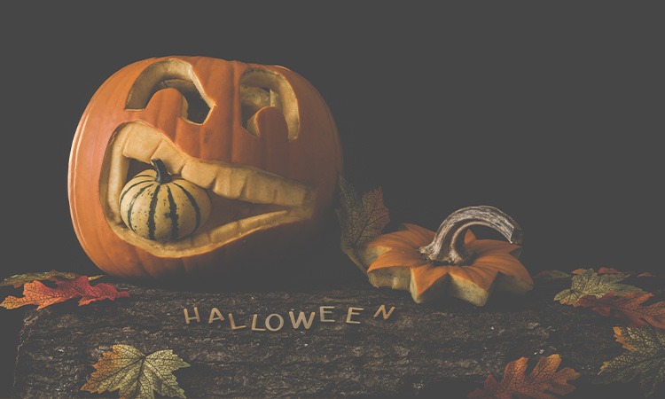 Halloween decoration ideas for your home | Suntrust Properties Inc.